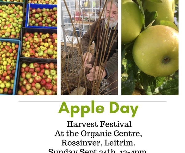 Apple Day Harvest at The Organic Centre, Rossinver, County Leitrim