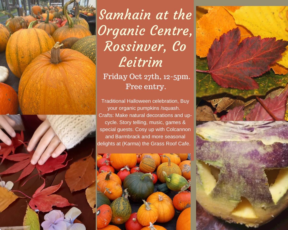 Halloween, The Organic Centre, Rossinver, County Leitrim